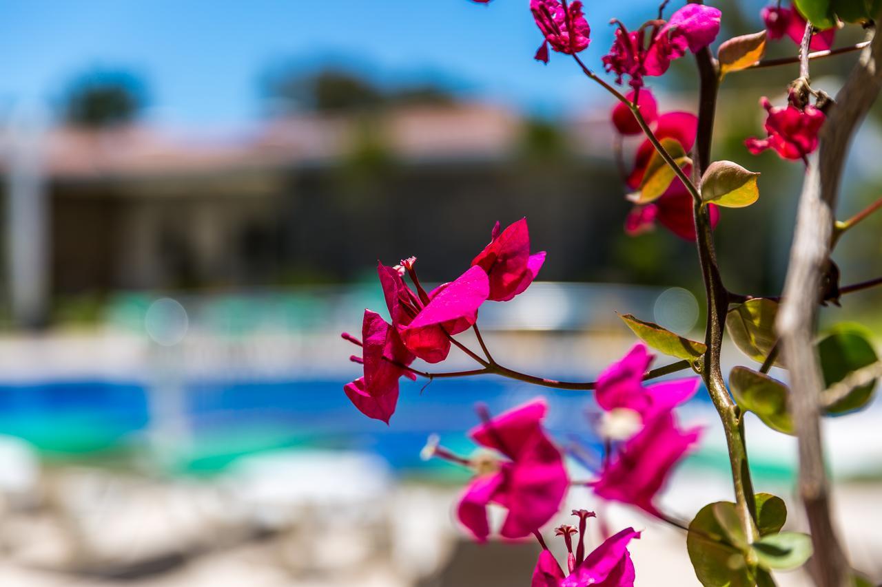 Kalina Hotel Datca Εξωτερικό φωτογραφία